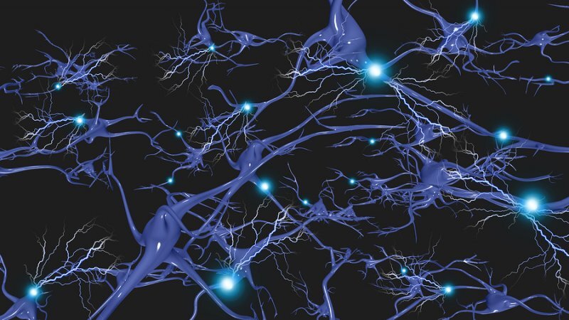 Alpha GPC increases brain cell signaling