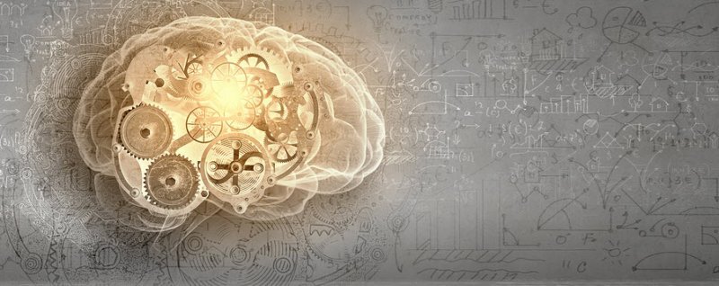 N-Acetyl L-Tyrosine boosts memory and cognition