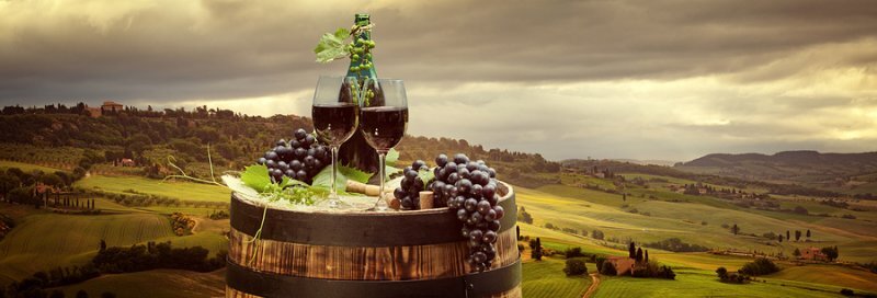 Resveratrol increases Brain-Derived Neurotrophic Factor (BDNF)