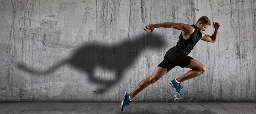 supplements for motivation