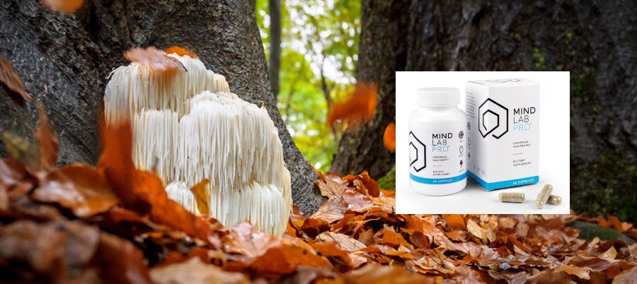 Mind Lab Pro bottle contains ingredients like lions mane mushroom and B vitamins