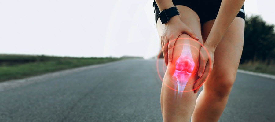 Ginseng helps reduce inflammation